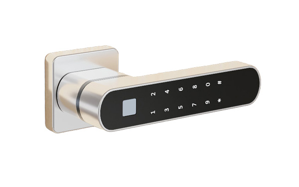 Bluetooth Fingerprint handle door lock