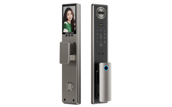 Face&Palm Recognition Door Lock